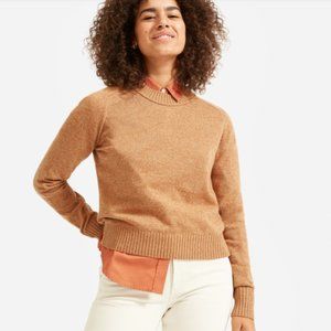 Everlane The ReCashmere Vintage Crew - Spiced Chai